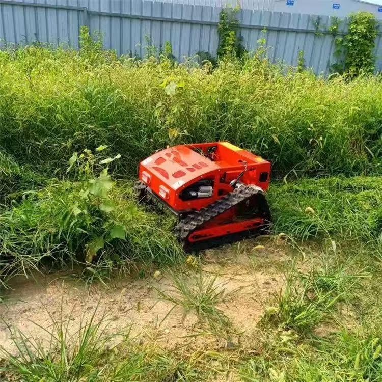Smart Remote Control Rotatin W - Smart Garden Trimmer บทวิจารณ์และราคา