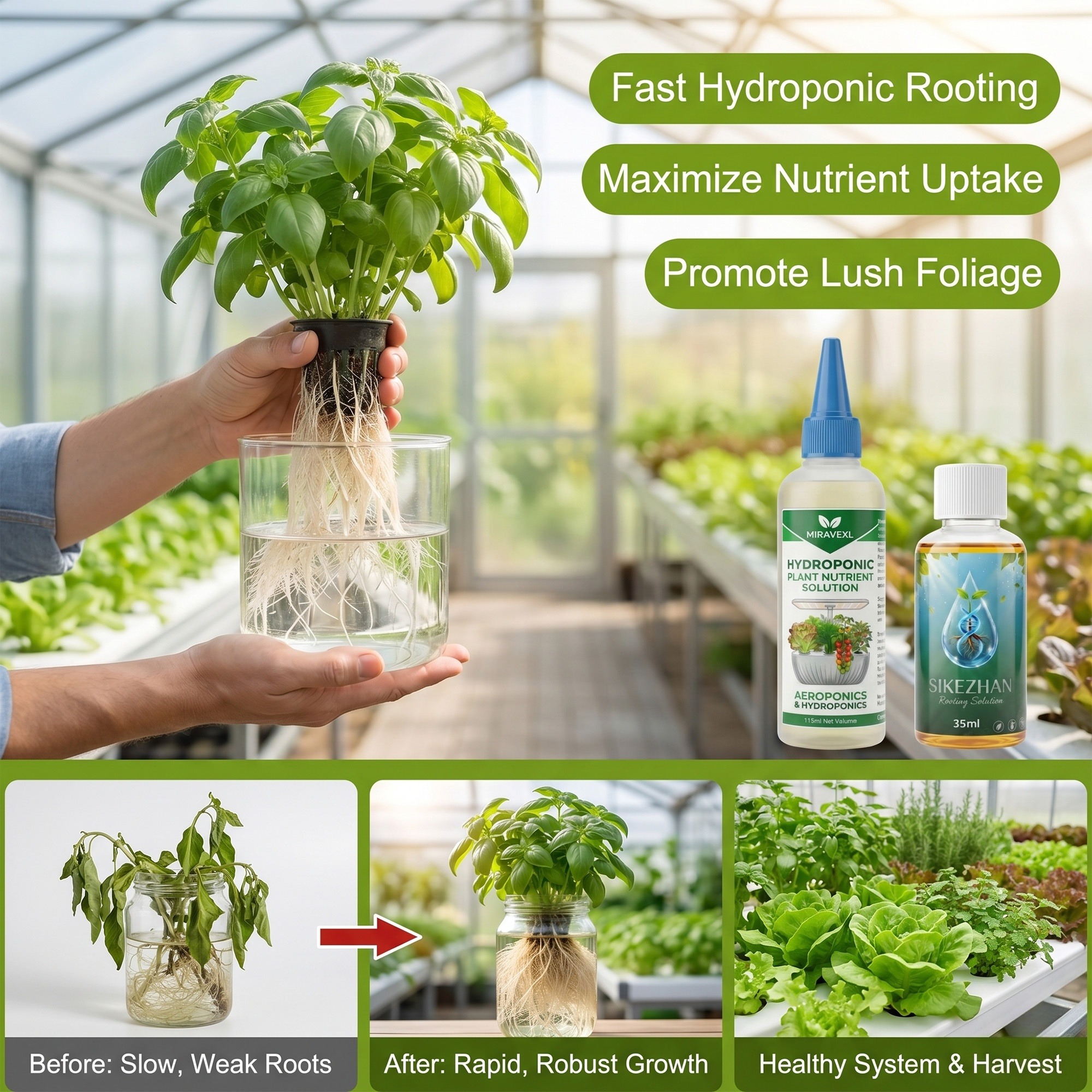 Hydroponic Nutrient Solution R - Composting Kit Indoor บทวิจารณ์และราคา