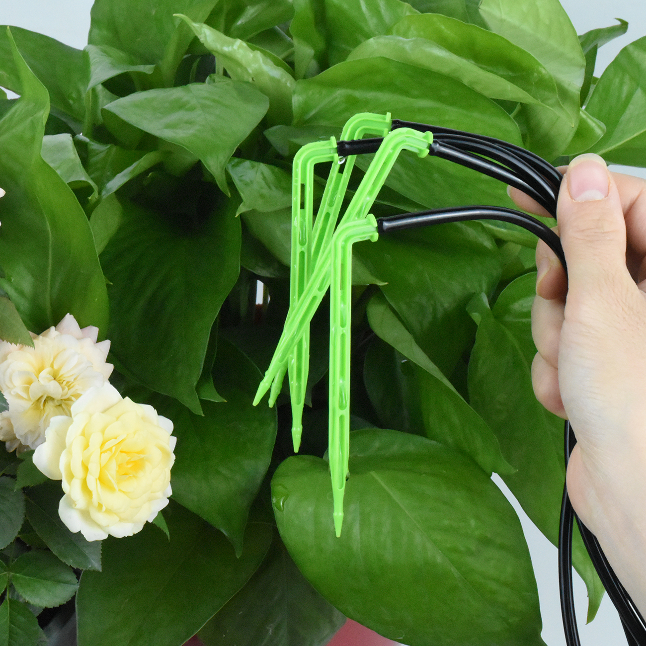 KESLA Garden 4/7mm to 3/5mm Ho - Smart Garden Monitor บทวิจารณ์และราคา