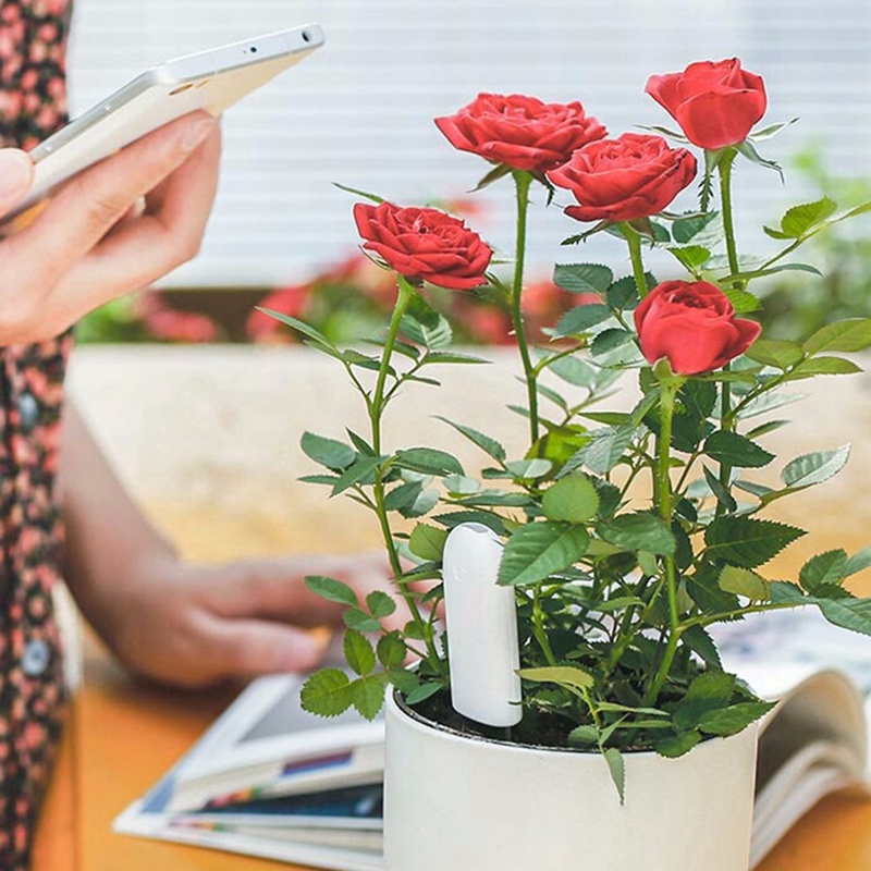HHCC Flower Monitor Flora Gard - Smart Garden Monitor บทวิจารณ์และราคา