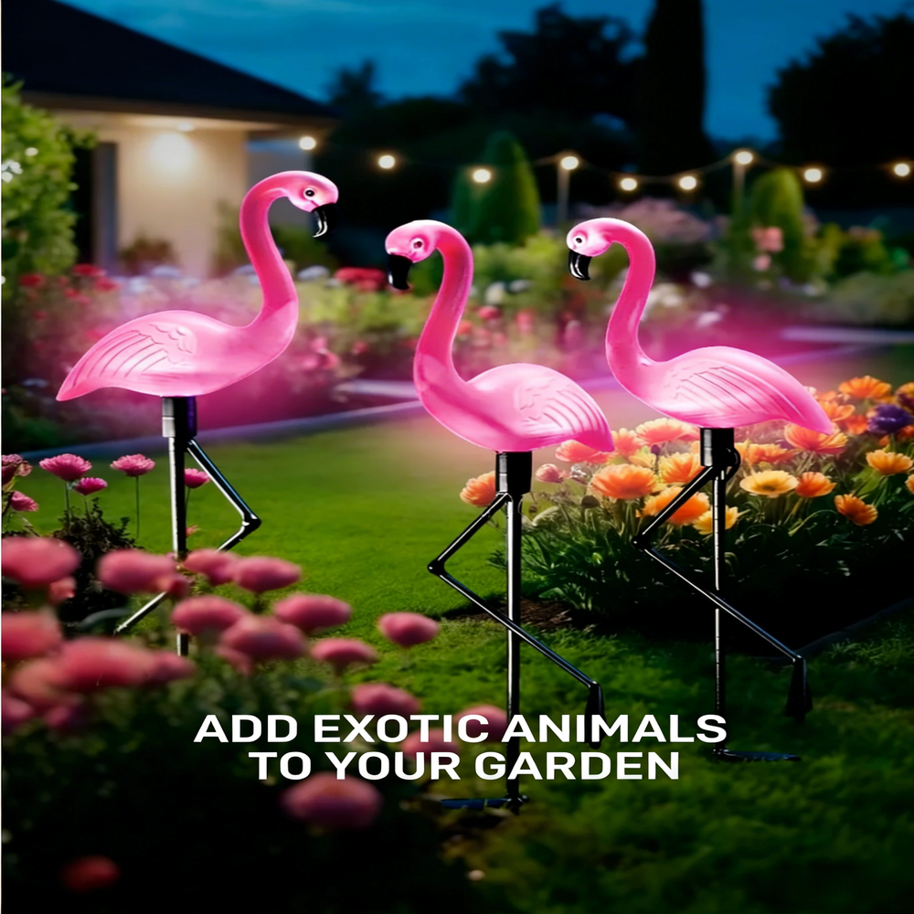 3Pcs Solar Powered Flamingo Gr - Smart Zen Garden บทวิจารณ์และราคา