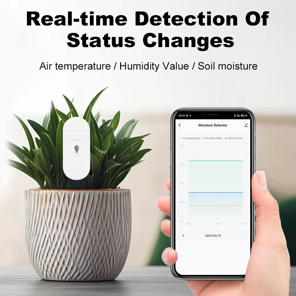 Tuya Zigbee Temperature Humidi - Smart Garden Monitor บทวิจารณ์และราคา