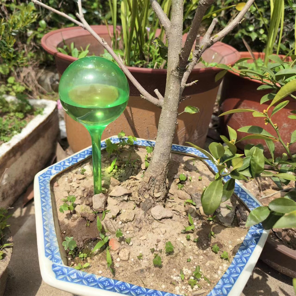 Automatic Plant Watering Bulbs - Smart Garden Monitor บทวิจารณ์และราคา