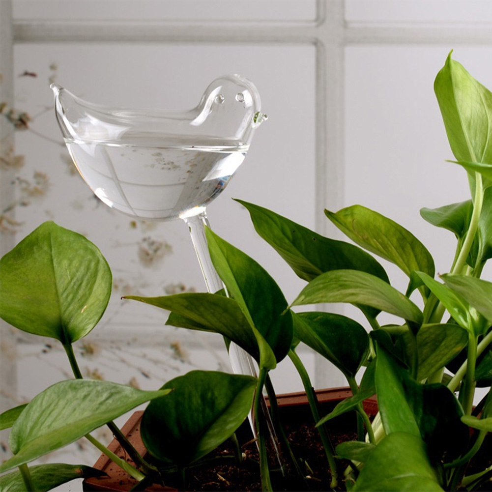 Automatic Plant Watering Bulbs - Smart Garden Monitor บทวิจารณ์และราคา